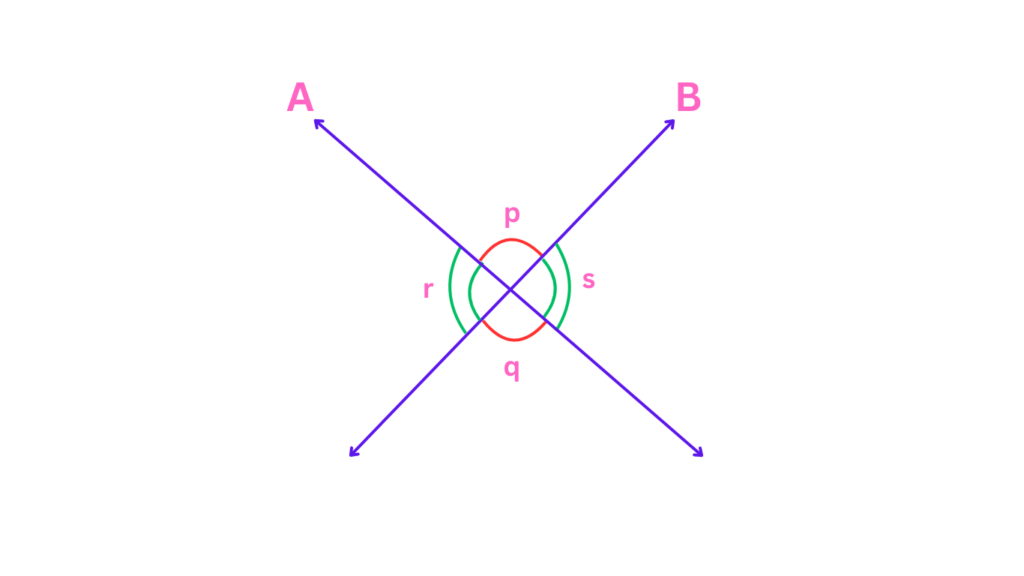 Demonstration of Opposite Angles in an Intersecting Lines