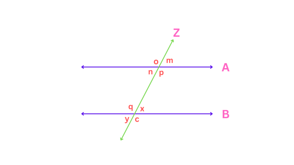 Different Angles Formed After A Transversal Cuts Across Parallel Lines