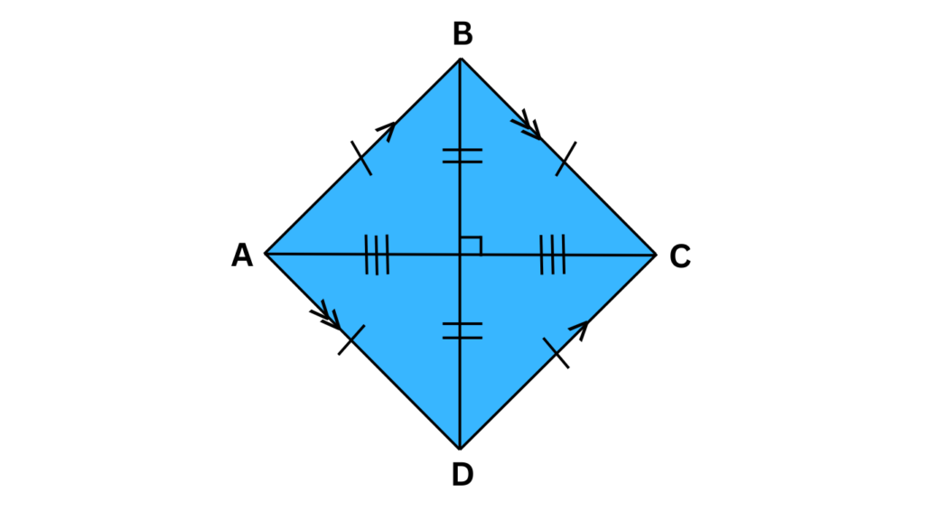 Illustration of Rhombus Shape