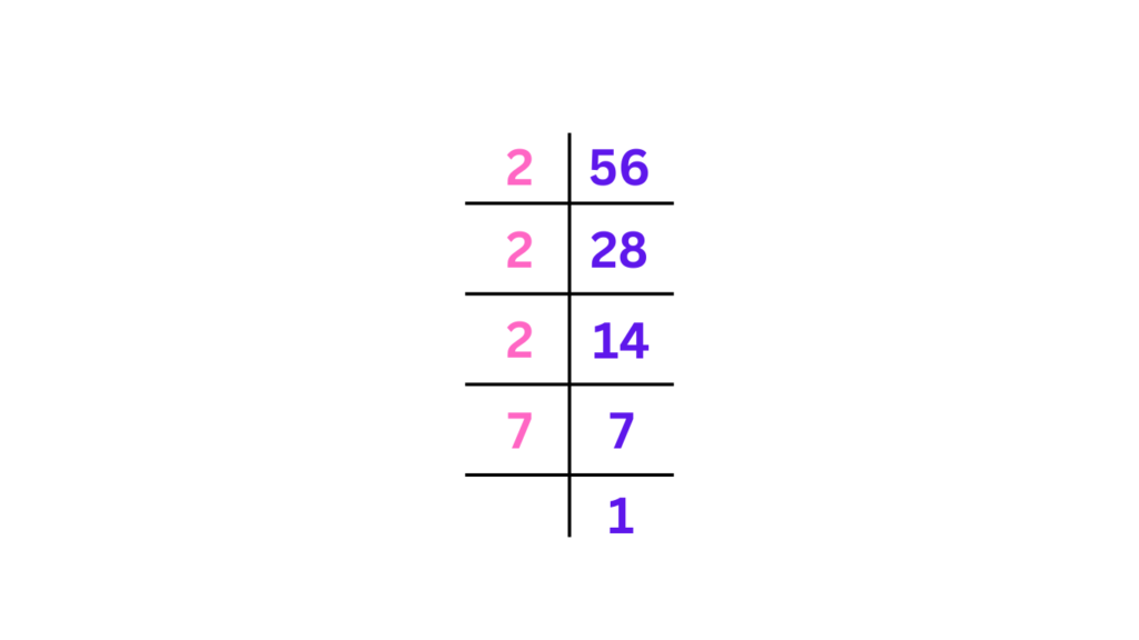 Prime Factorization of the Number Using Division