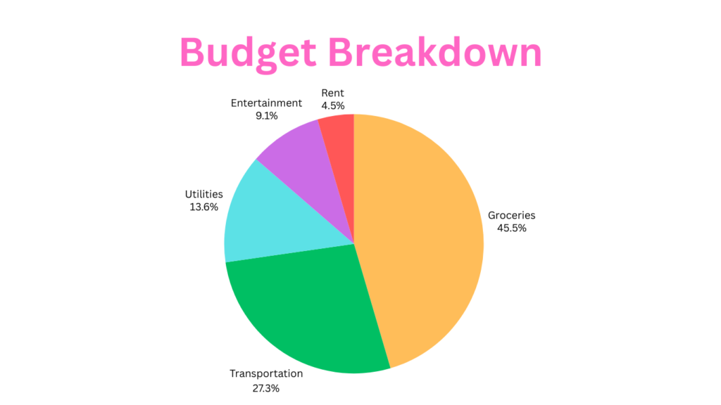 A Pie Chart Demonstrating the Budget Breakdown