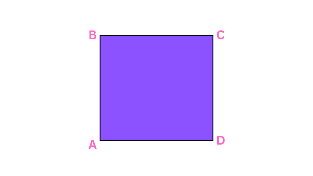 An Illustration of a Square